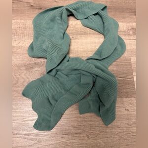 Cashmere Red Telluride Co. Extra Fine Merino Lambswool Green Ribbed Knit Scarf